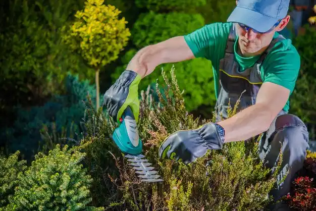 landscaping services Grayson